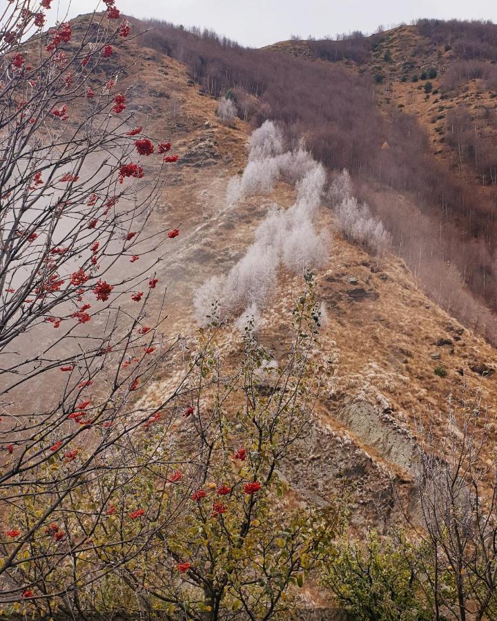 Red Stone Guest House Kazbegi Exterior foto